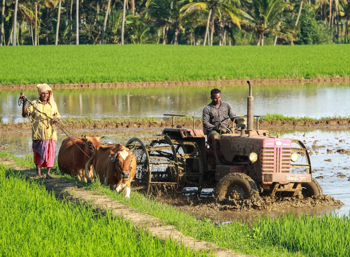 Farm